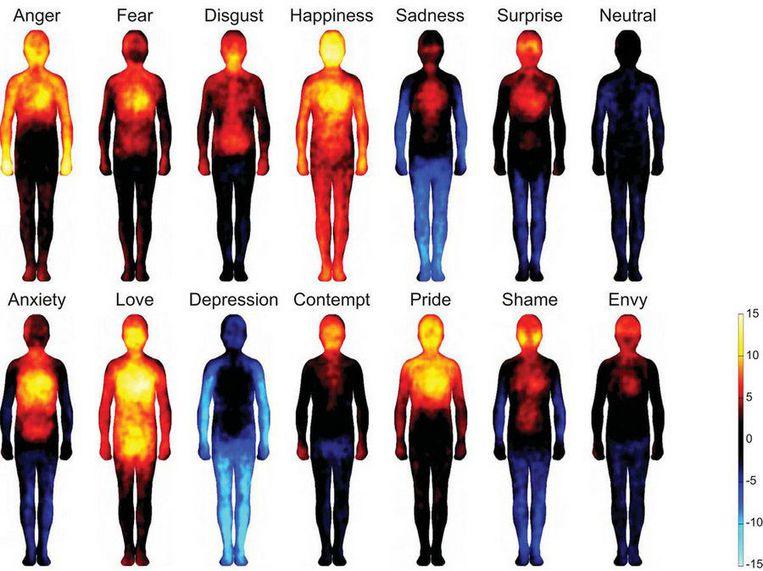 emoties lichamelijk effect
