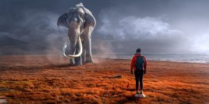 stoppen met denken olifant